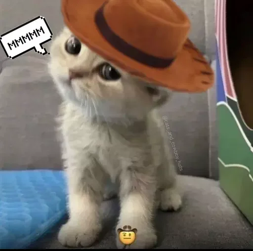 🙄 Стикер «MeowBots 3» для Telegram
