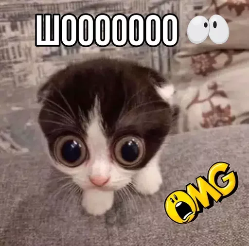 🫢 Стикер «MeowBots 3» для Telegram