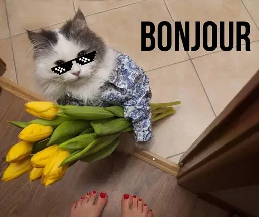 💐 Стикер «MeowBots 3» для Telegram