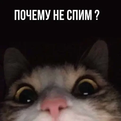 🥱 Стикер «MeowBots 3» для Telegram