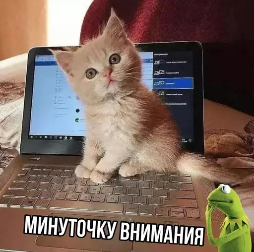 🛎️ Стикер «MeowBots 3» для Telegram
