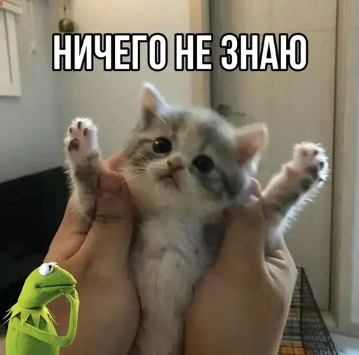 ⁉️ Стикер «MeowBots 3» для Telegram