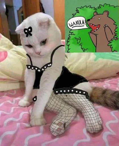 🐔 Стикер «MeowBots 3» для Telegram