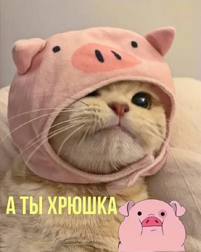 🐷 Стикер «MeowBots 3» для Telegram