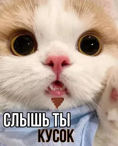 💩 Стикер «MeowBots 3» для Telegram