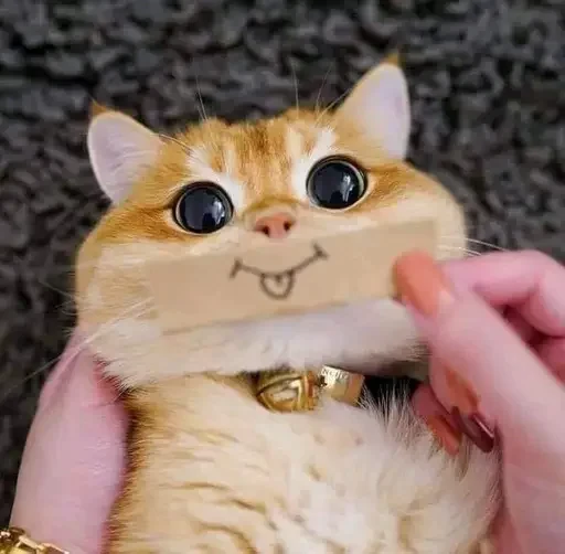 🃏 Стикер «ME⭕WB⭕T» для Telegram