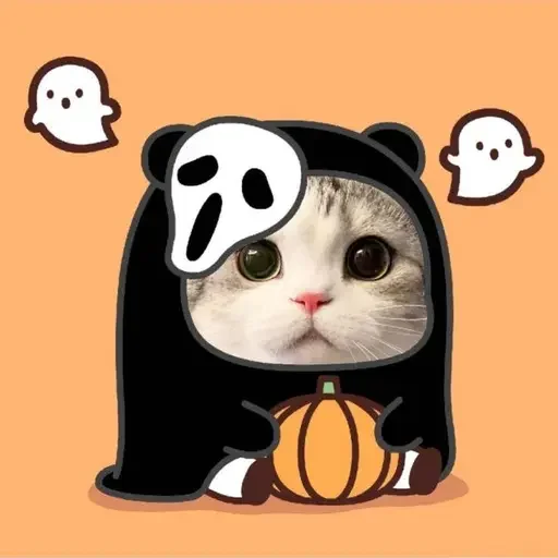 🃏 Стикер «ME⭕WB⭕T» для Telegram