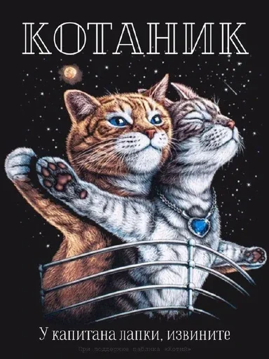 🃏 Стикер «ME⭕WB⭕T» для Telegram