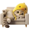 🫠 Эмодзи «Мяу утка» для Telegram
