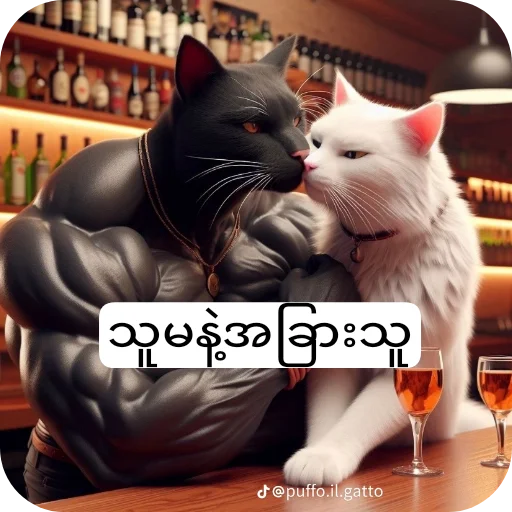 🐱 Стикер «Meow Meow Meow Meow» для Telegram