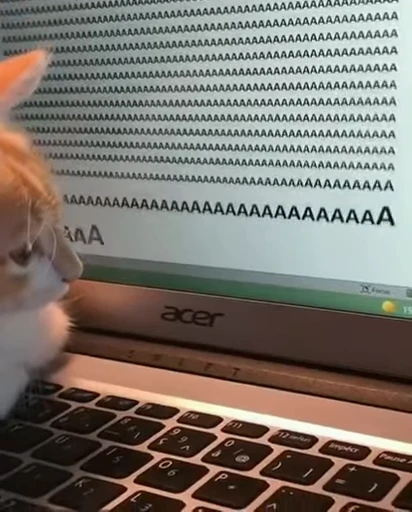 🤬 Стикер «meow» для Telegram