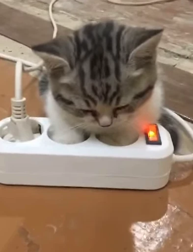😢 Стикер «meow» для Telegram