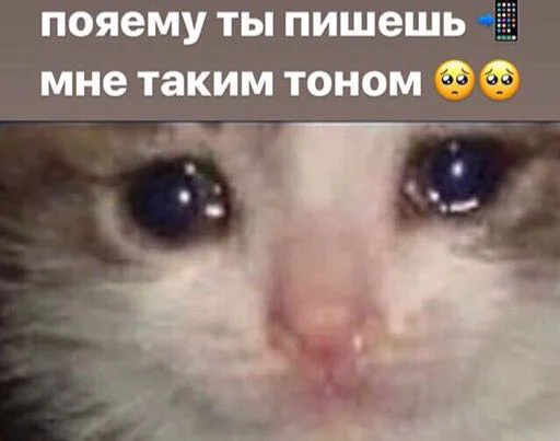 😢 Стикер «Мяу Please» для Telegram
