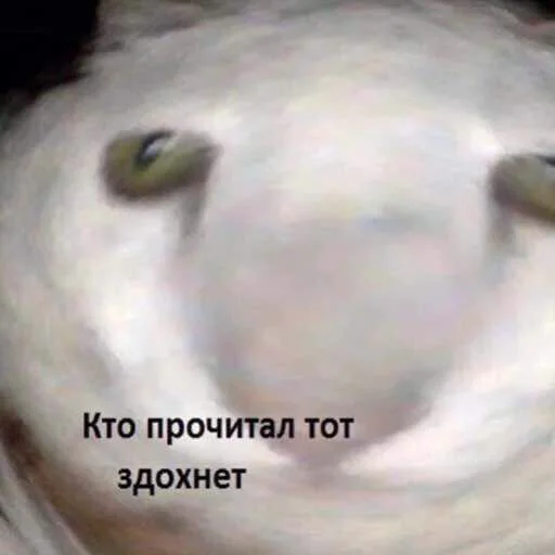 💀 Стикер «Мяу Please» для Telegram
