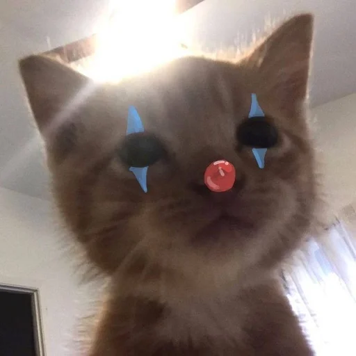🌟 Стикер «ликий» для Telegram