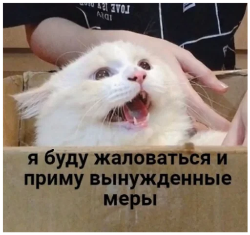😿 Стикер «ыыы» для Telegram