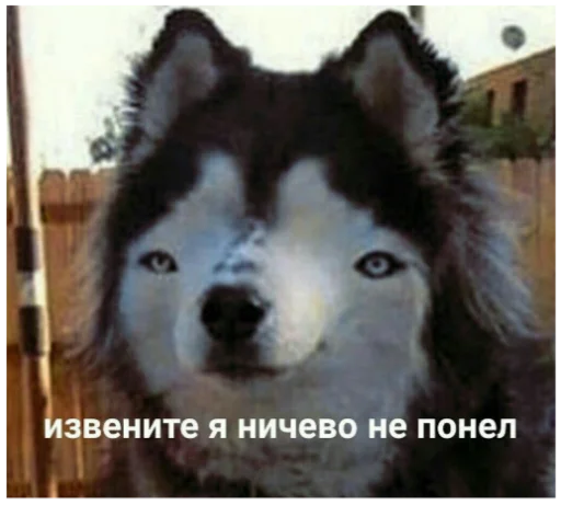 😣 Стикер «ыыы» для Telegram