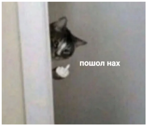 🖕 Стикер «ыыы» для Telegram