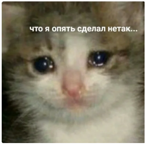 😭 Стикер «ыыы» для Telegram