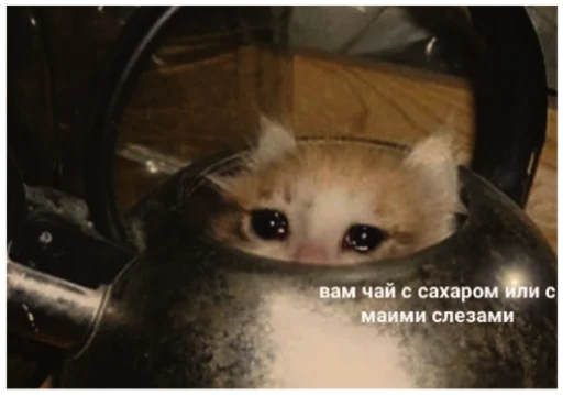 😢 Стикер «ыыы» для Telegram