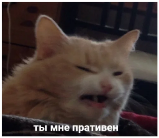 😖 Стикер «ыыы» для Telegram