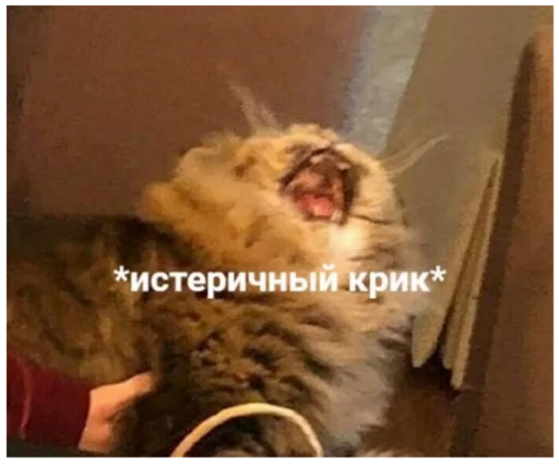 😮 Стикер «ыыы» для Telegram
