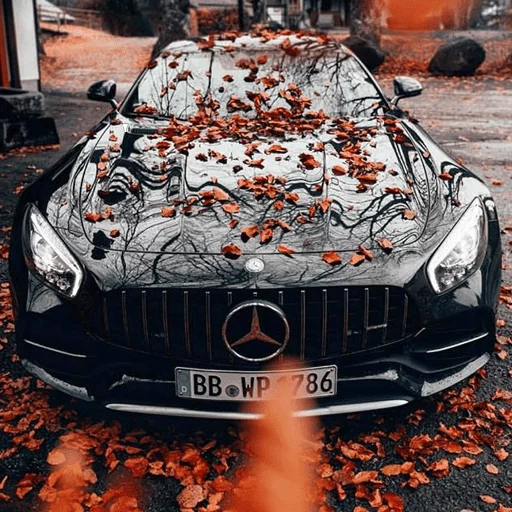 🍁 Стикер «Mercedes Benz» для Telegram
