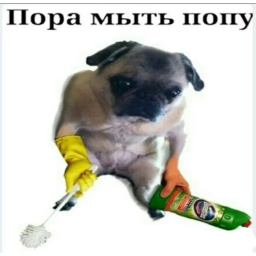 🛁 Стикер «МЕРЖ ЛЕГЕНДА created» для Telegram