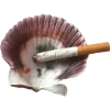 Стикер 24 The Pirates Gospel