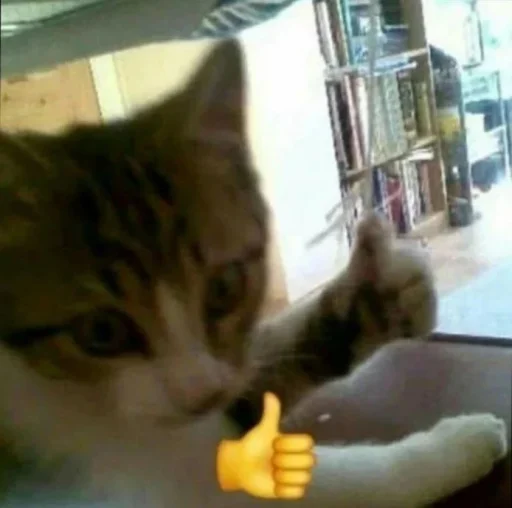 💫 Стикер «Mermet goreng» для Telegram