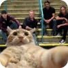 🤓 Эмодзи «METALLICA» для Telegram