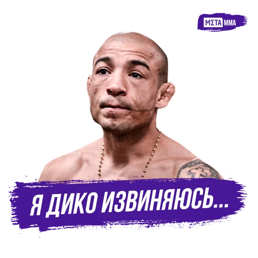 🥺 Стикер «Meta MMA UFC» для Telegram