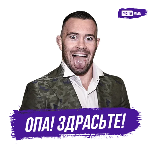 🙃 Стикер «Meta MMA UFC» для Telegram