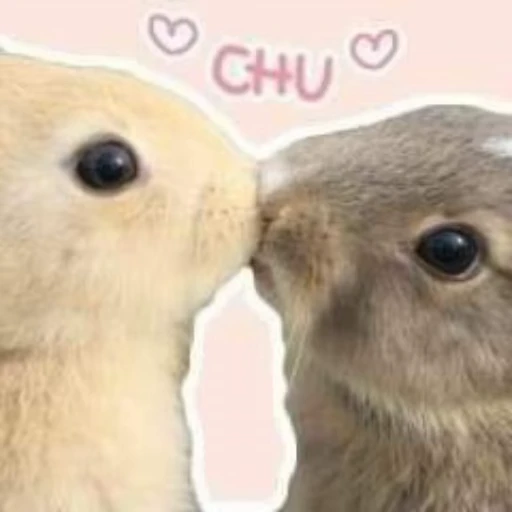 🌟 Стикер «кроли з» для Telegram
