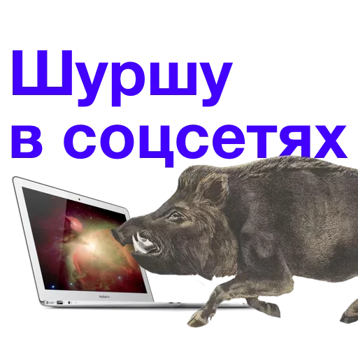 😁 Стикер «Метнулся» для Telegram