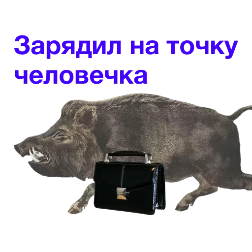 🥳 Стикер «Метнулся» для Telegram