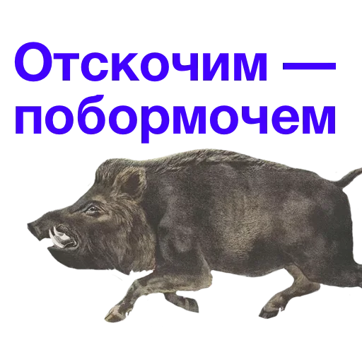 😏 Стикер «Метнулся» для Telegram