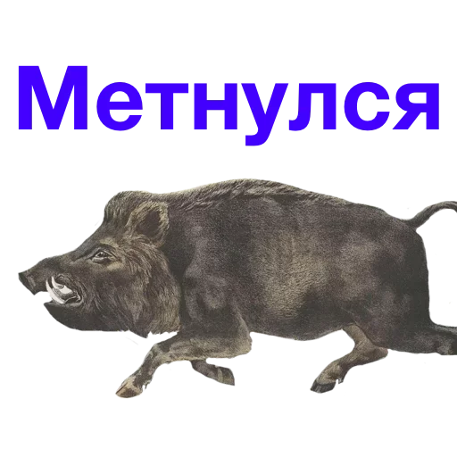 Стикерпак Метнулся для Telegram