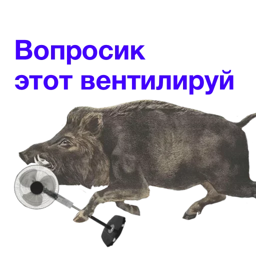 🤨 Стикер «Метнулся» для Telegram