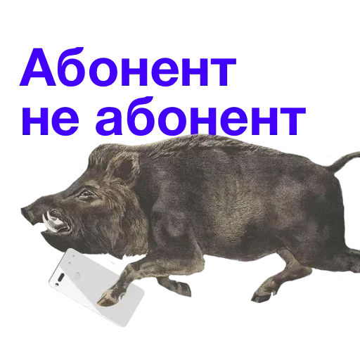 🙂‍↕️ Стикер «Метнулся» для Telegram