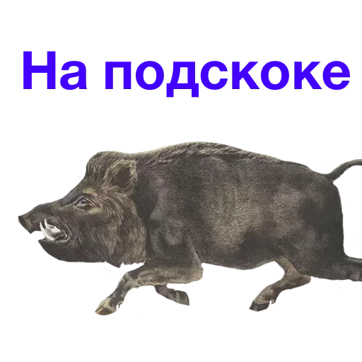 😕 Стикер «Метнулся» для Telegram