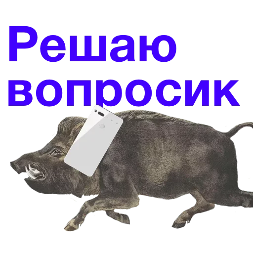 😁 Стикер «Метнулся» для Telegram