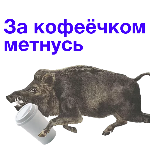 ☕️ Стикер «Метнулся» для Telegram