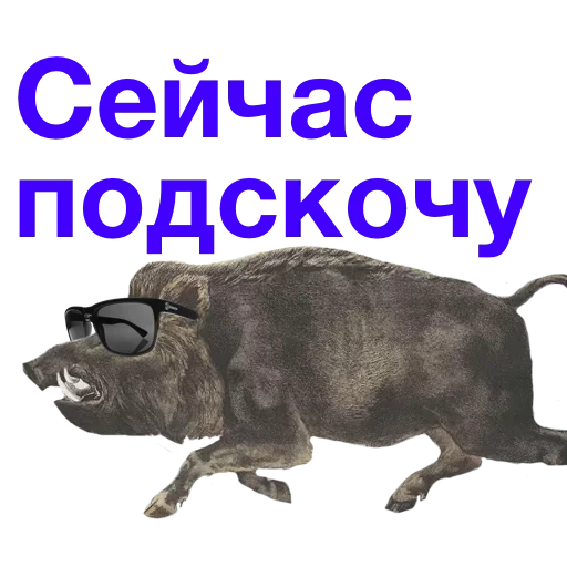 😂 Стикер «Метнулся» для Telegram