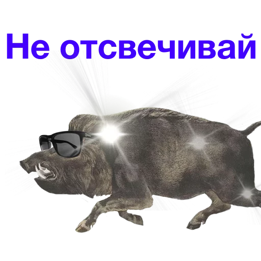 😁 Стикер «Метнулся» для Telegram