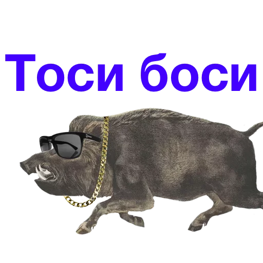😂 Стикер «Метнулся» для Telegram