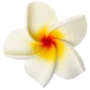 👺 Эмодзи «Tiki Bar» для Telegram