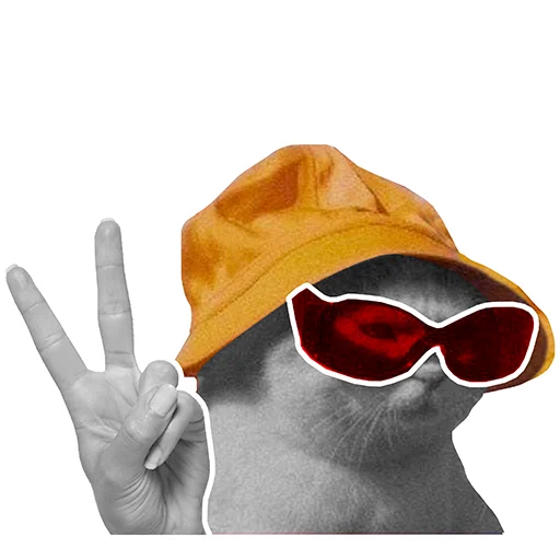 🙌 Стикер «MEV_Fun» для Telegram