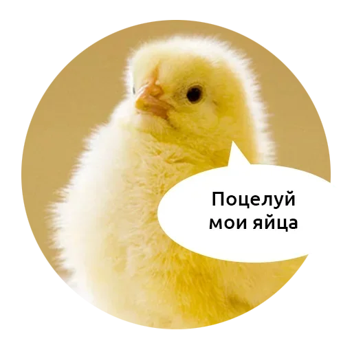 😋 Стикер «Scamper» для Telegram
