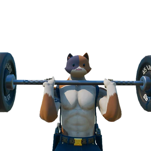 🏋️‍♂️ Стикер «Miaoscolo» для Telegram